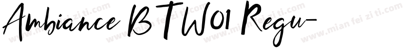Ambiance BT W01 Regu字体转换